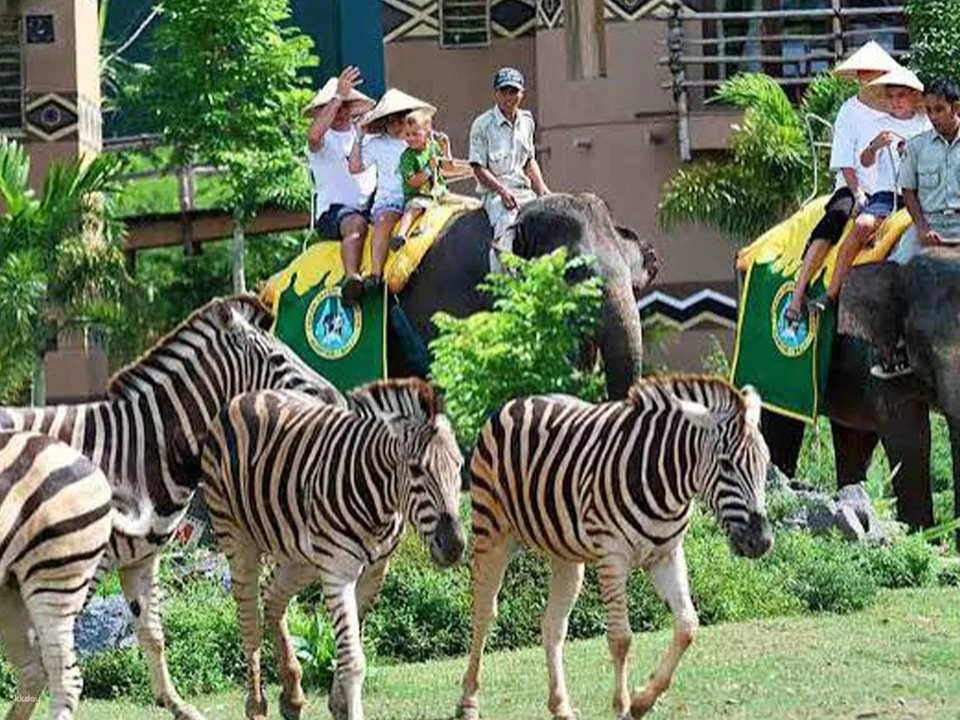 Jungle Vibe & Wildlife Drive: Bali Safari Day Experience