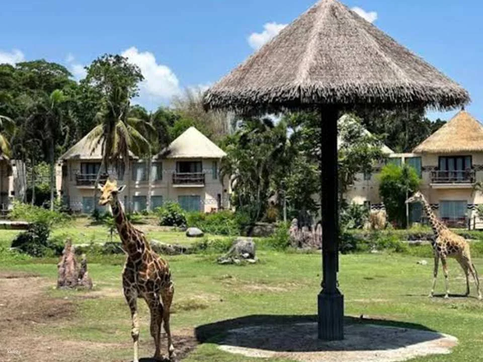 Jungle Vibe & Wildlife Drive: Bali Safari Day Experience