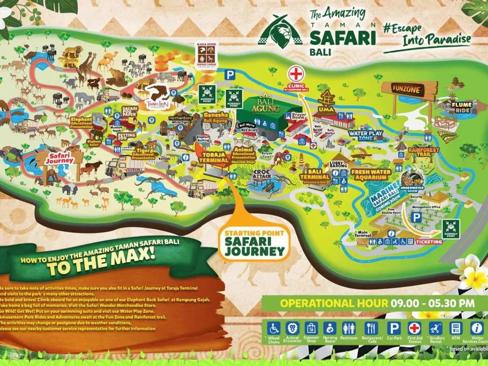 Jungle Vibe & Wildlife Drive: Bali Safari Day Experience