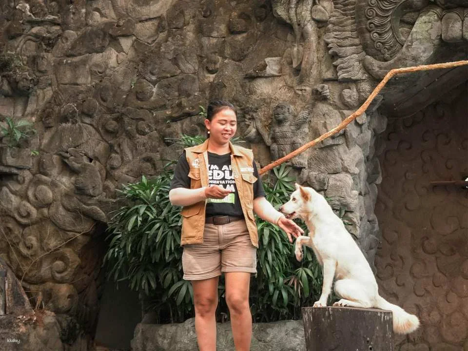Jungle Vibe & Wildlife Drive: Bali Safari Day Experience