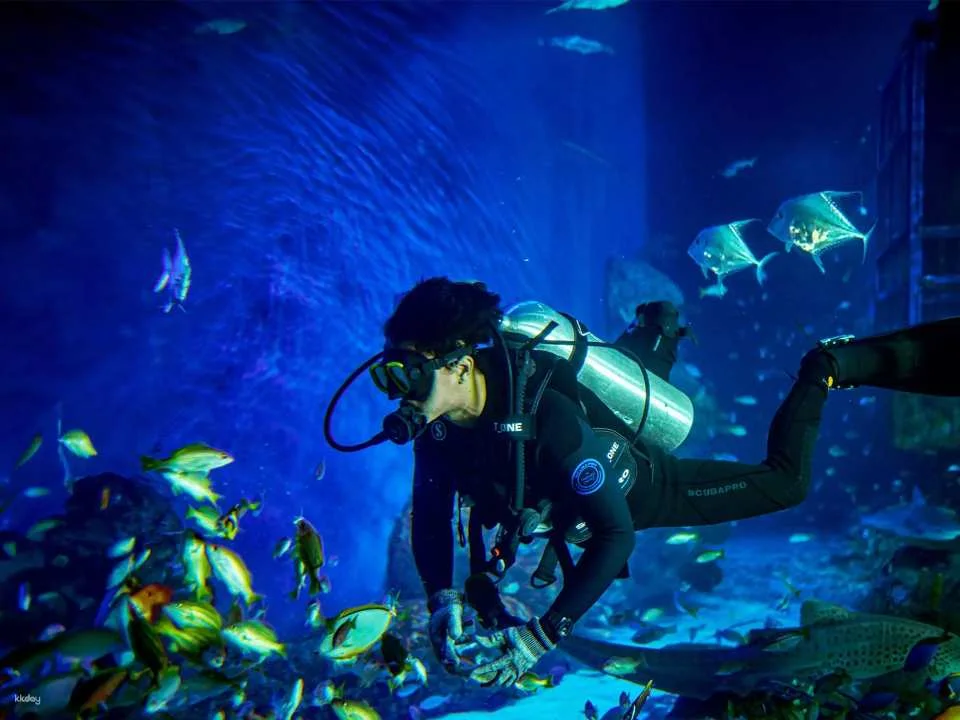 Unleash Your Aquatic Curiosity: Marine Safari Bali Experience (765162)