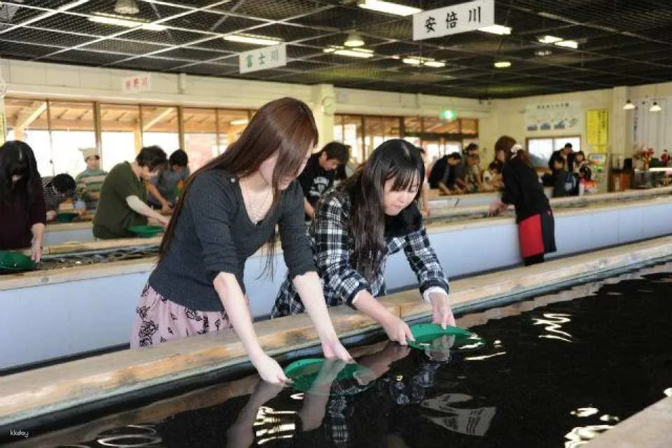 Izu | Toi Gold Mine Tickets