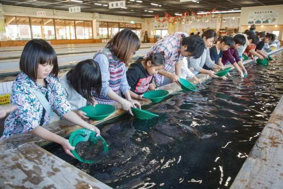 Izu | Toi Gold Mine Tickets