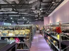 Tokyo: Exclusive Vintage Auction Tour with Private Shopping