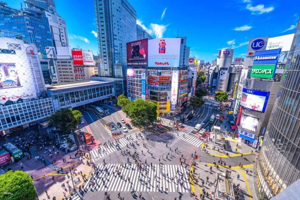 Tokyo: Exclusive Vintage Auction Tour with Private Shopping