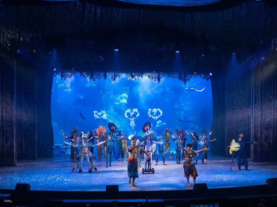 Varuna Underwater Theatrical Show & Fine Dining Experience (765240)