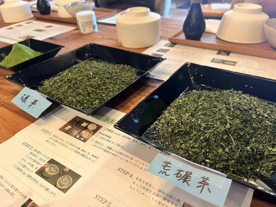 Kagoshima Tea Experience: Authentic Matcha Making&Tasting
