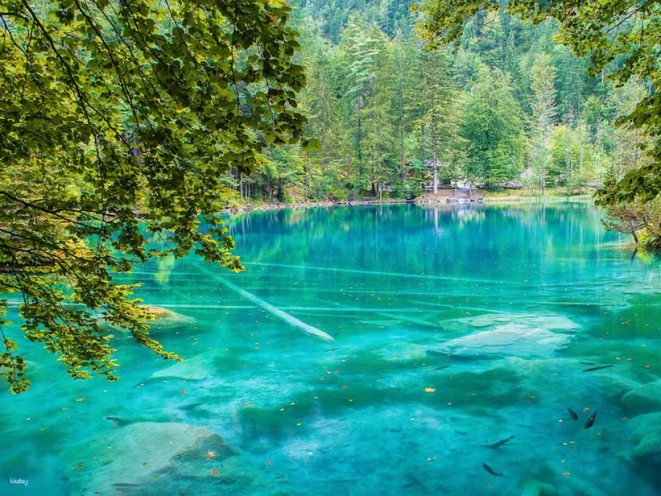 Blausee Day Pass | Switzerland