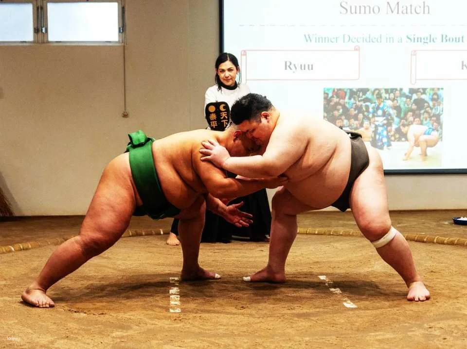 Osaka Sumo Performance & Dohyo Experience | Watch Retired Wrestlers Compete & Challenge Them on Stage (765523)