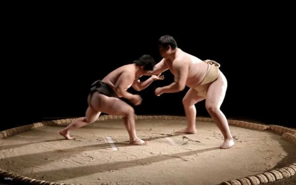 Hakata Sumo Beya Experience in Fukuoka, Japan | Get Up Close to Japanese Sumo Culture