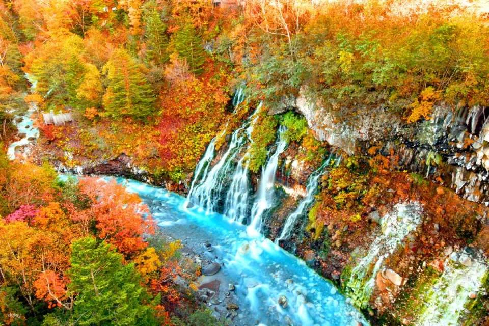 [Summer Special Course Added] Sapporo & Biei Private Exclusive Van Tour | Hokkaido, Japan