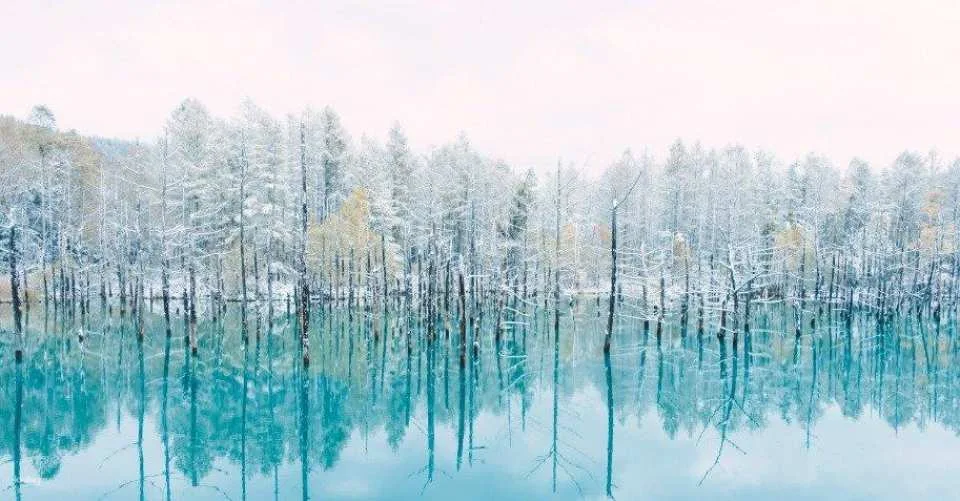 [Summer Special Course Added] Sapporo & Biei Private Exclusive Van Tour | Hokkaido, Japan