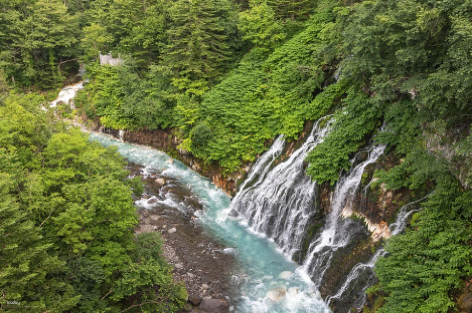 [Summer Special Course Added] Sapporo & Biei Private Exclusive Van Tour | Hokkaido, Japan