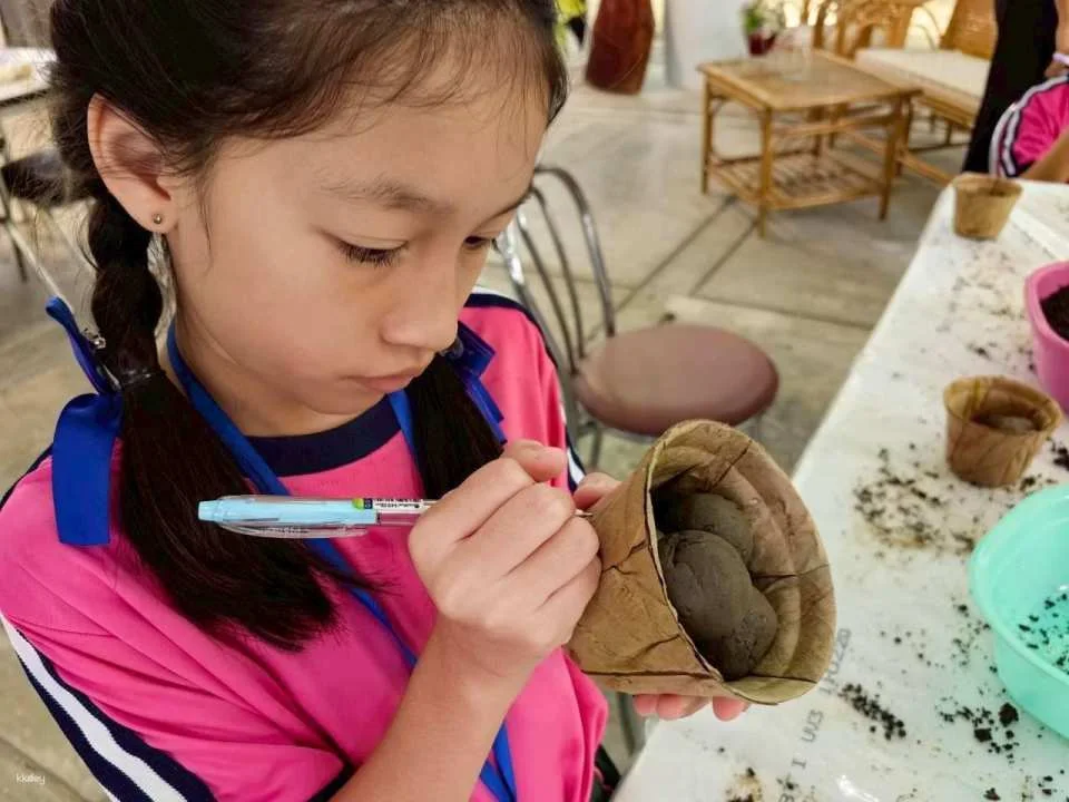 Chiang Mai: Hands-On Eco Workshop Experience