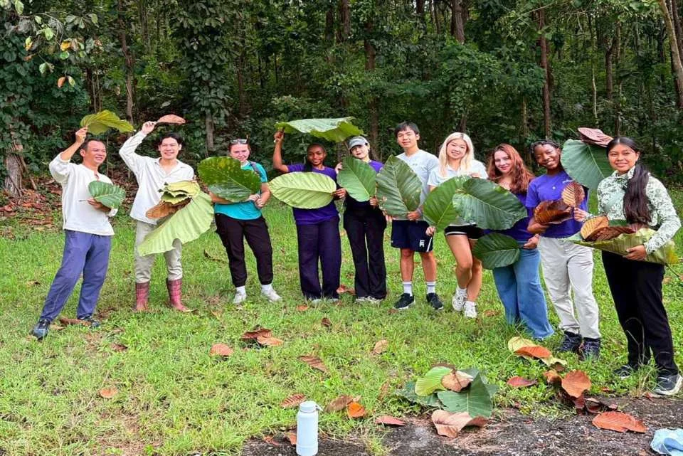 Chiang Mai: Hands-On Eco Workshop Experience