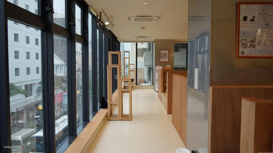 Cat Café MOFF Okinawa Experience | Admission Ticket with Drink (Valid for iias Toyosaki & Kokusai-dori Branches)