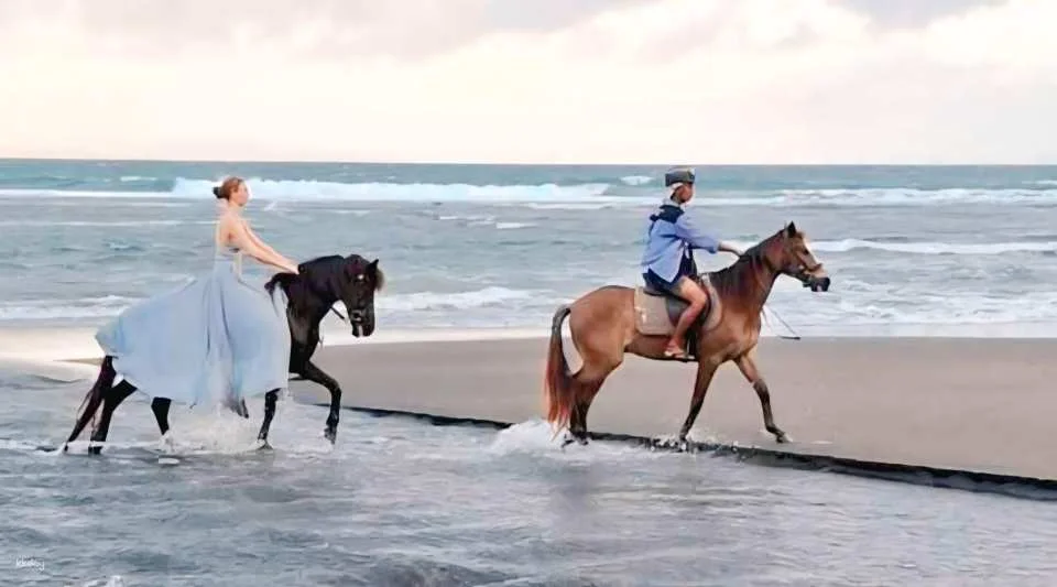 Bali Horse Riding with Optional Turtle Release & Tour