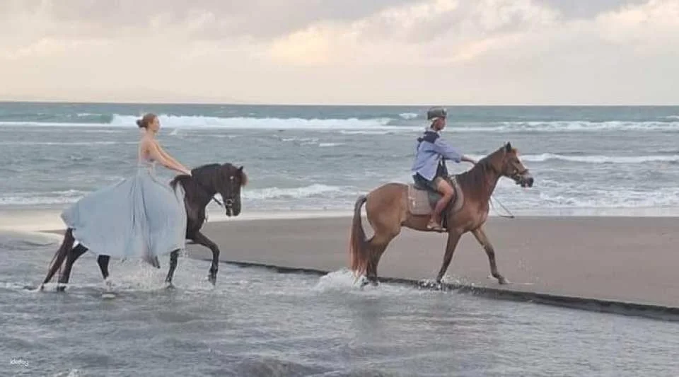 Bali Horse Riding with Optional Turtle Release & Tour