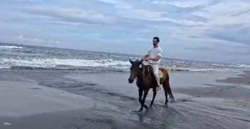 Bali Horse Riding with Optional Turtle Release & Tour