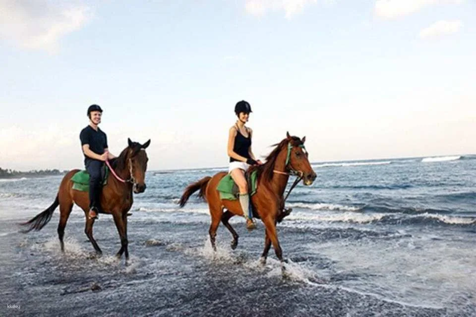 Bali Horse Riding with Optional Turtle Release & Tour