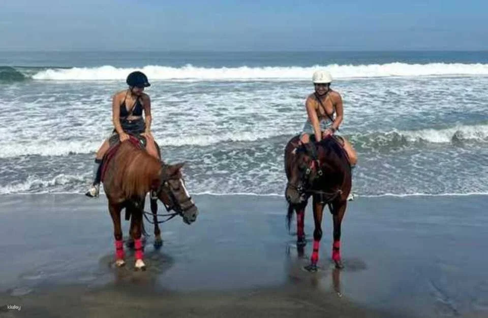 Bali Horse Riding with Optional Turtle Release & Tour