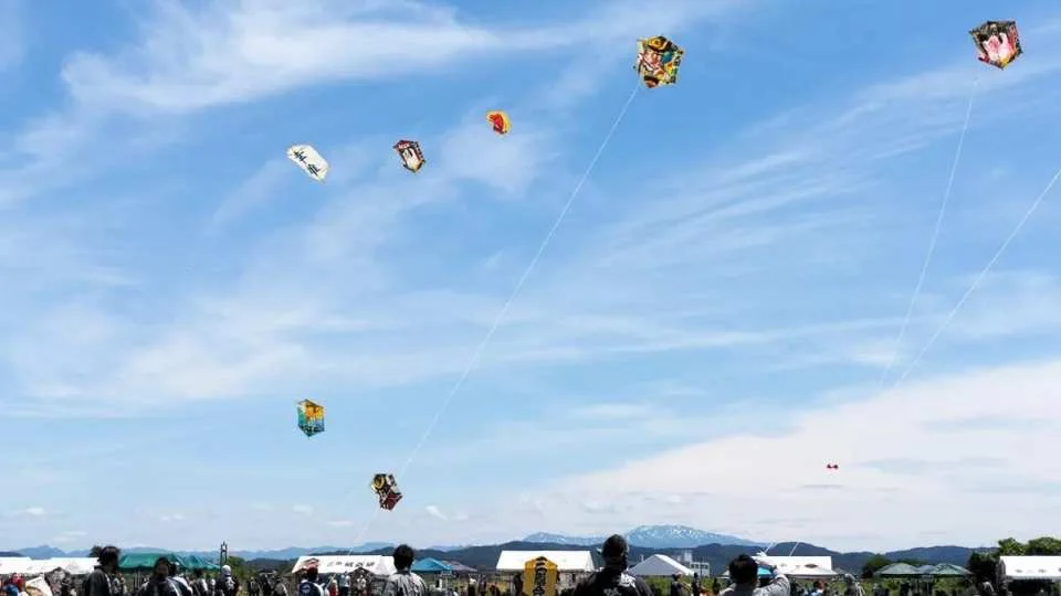 Niigata Sanjo | Rokkaku Maki-Ika (Hexagonal Kite) Making & Flying Experience | A Day Trip to Explore the Traditional Culture of Niigata Sanjo and Echigo Ichinomiya Yahiko Shrine (Includes Lunch) (771244)