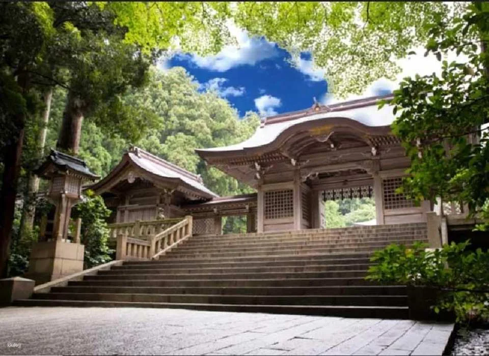 Niigata Sanjo | Rokkaku Maki-Ika (Hexagonal Kite) Making & Flying Experience | A Day Trip to Explore the Traditional Culture of Niigata Sanjo and Echigo Ichinomiya Yahiko Shrine (Includes Lunch)