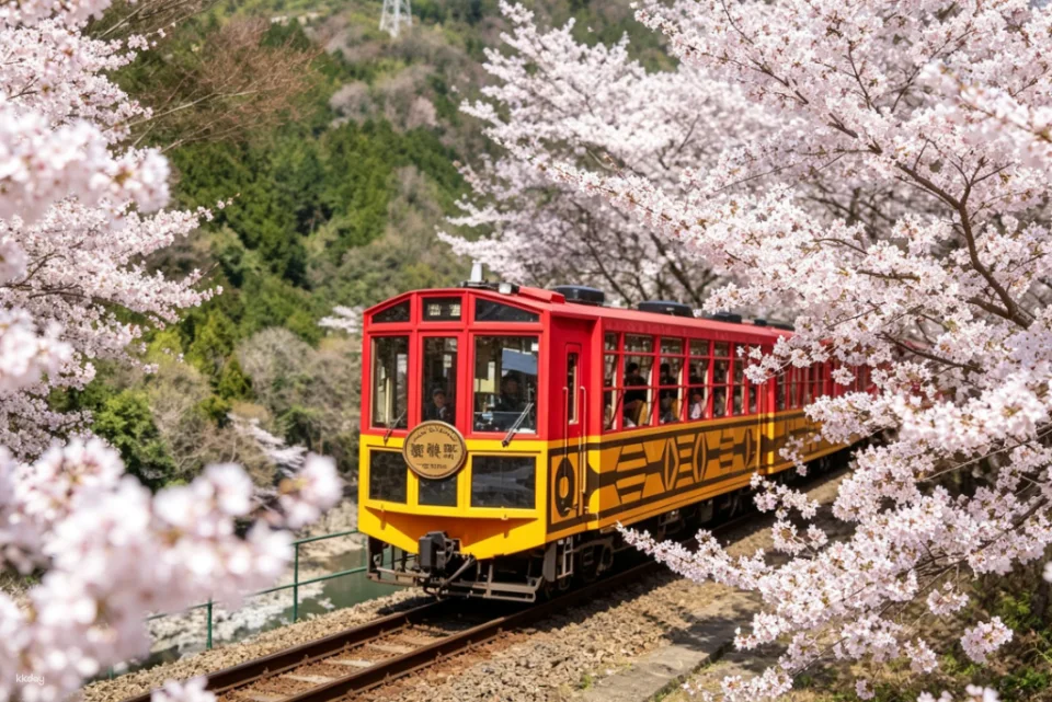 Sagano Romantic Train in Arashiyama, Kyoto - Reserved 'Rich' Car (Car No. 5) Available