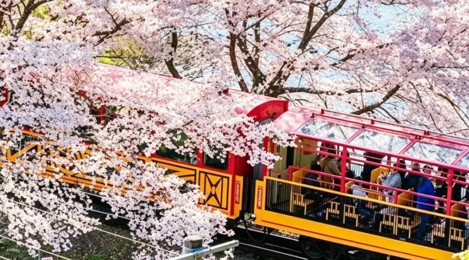 Sagano Romantic Train in Arashiyama, Kyoto - Reserved 'Rich' Car (Car No. 5) Available