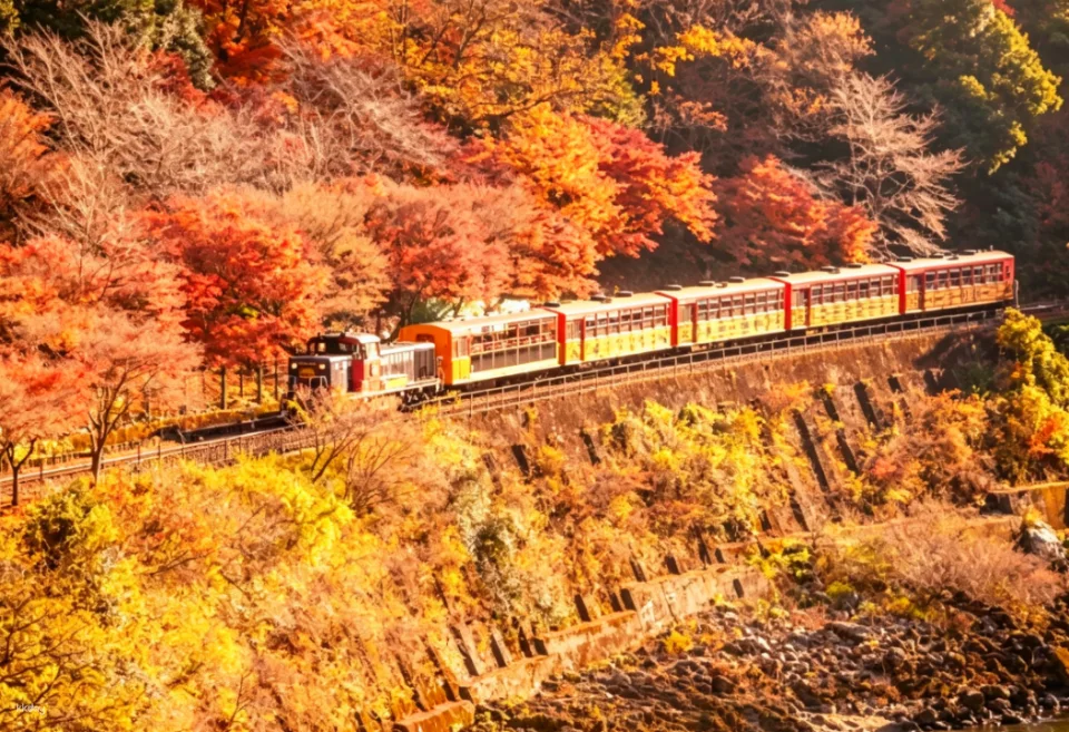 Sagano Romantic Train in Arashiyama, Kyoto - Reserved 'Rich' Car (Car No. 5) Available