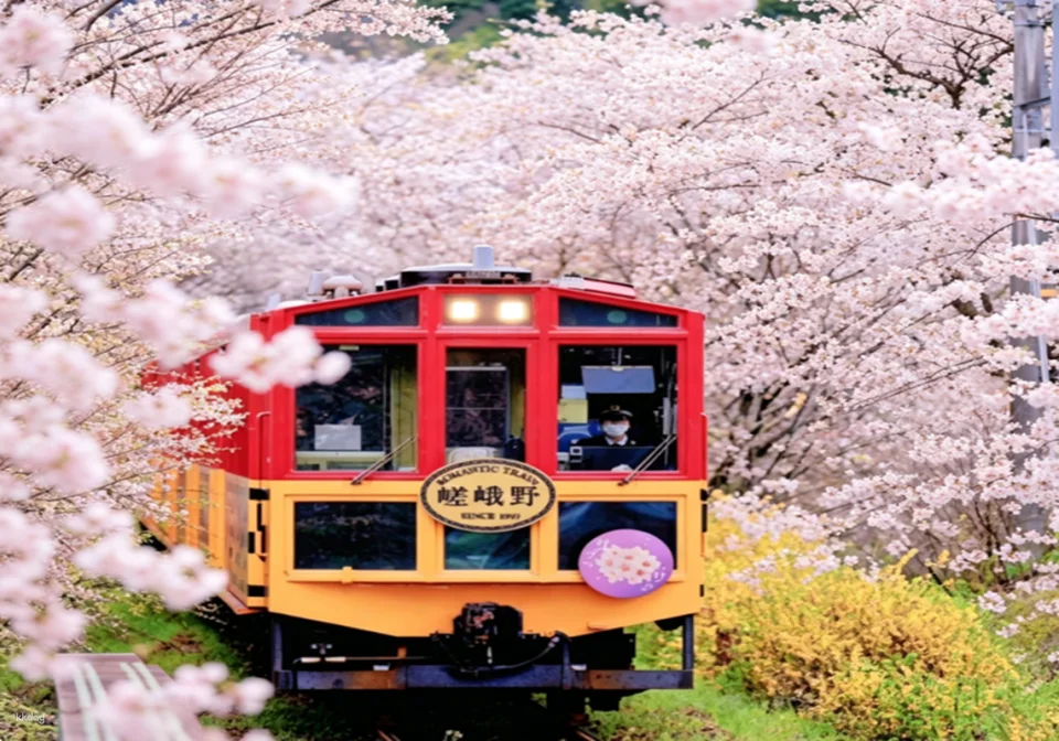 Sagano Romantic Train in Arashiyama, Kyoto - Reserved 'Rich' Car (Car No. 5) Available