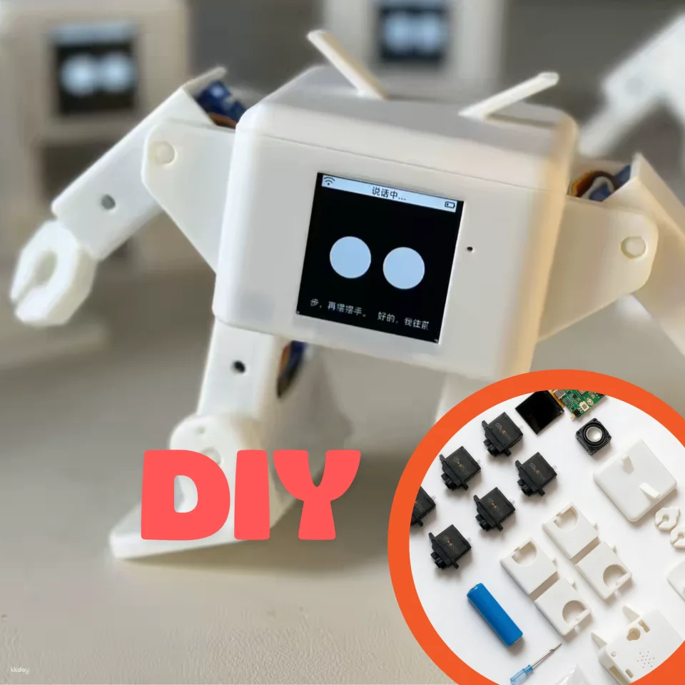 Shenzhen AI Robot Workshop: DIY Your Own AI Robot (Assemble the body, connect to the network, program language, and give it a personality)