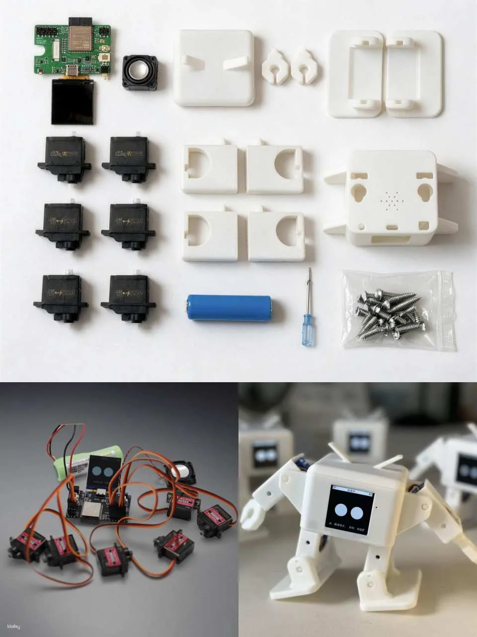 Shenzhen AI Robot Workshop: DIY Your Own AI Robot (Assemble the body, connect to the network, program language, and give it a personality)