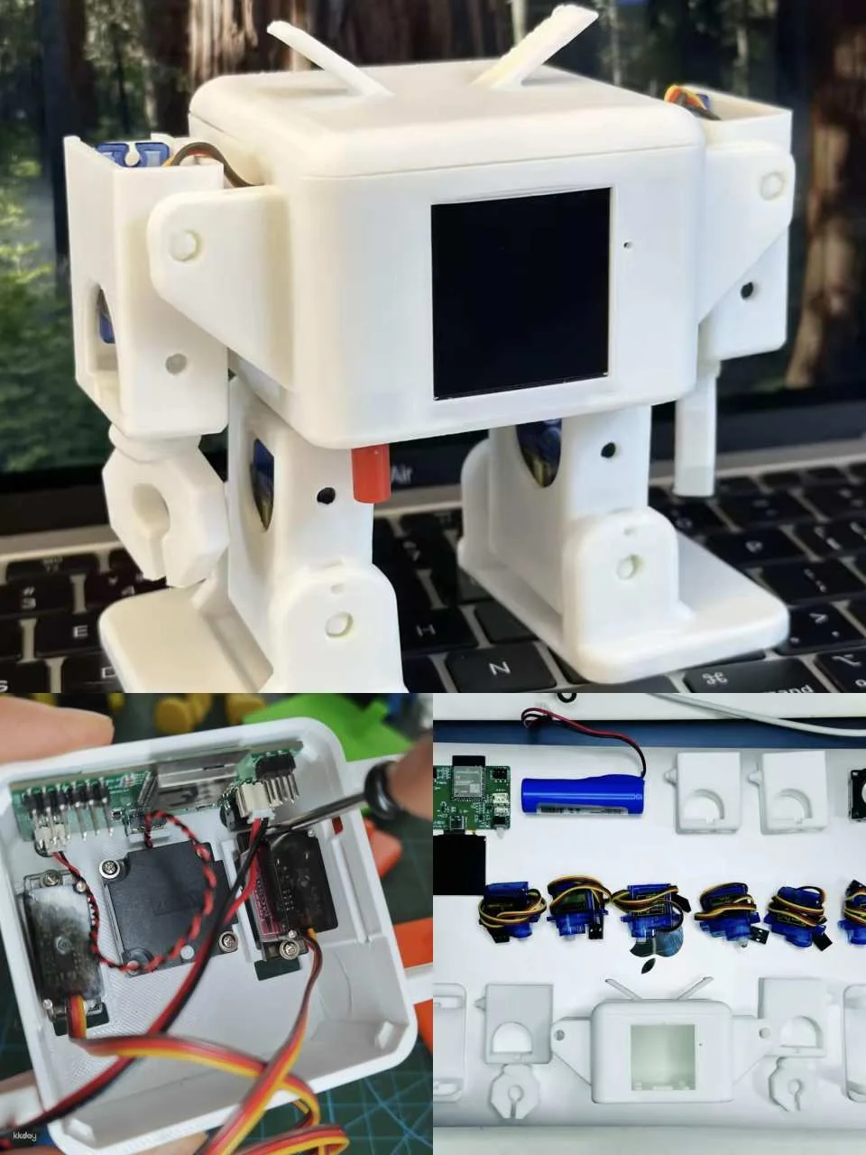 Shenzhen AI Robot Workshop: DIY Your Own AI Robot (Assemble the body, connect to the network, program language, and give it a personality)