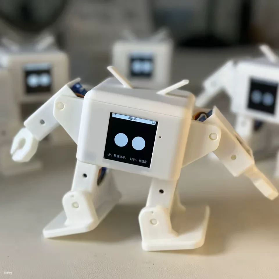 Shenzhen AI Robot Workshop: DIY Your Own AI Robot (Assemble the body, connect to the network, program language, and give it a personality)