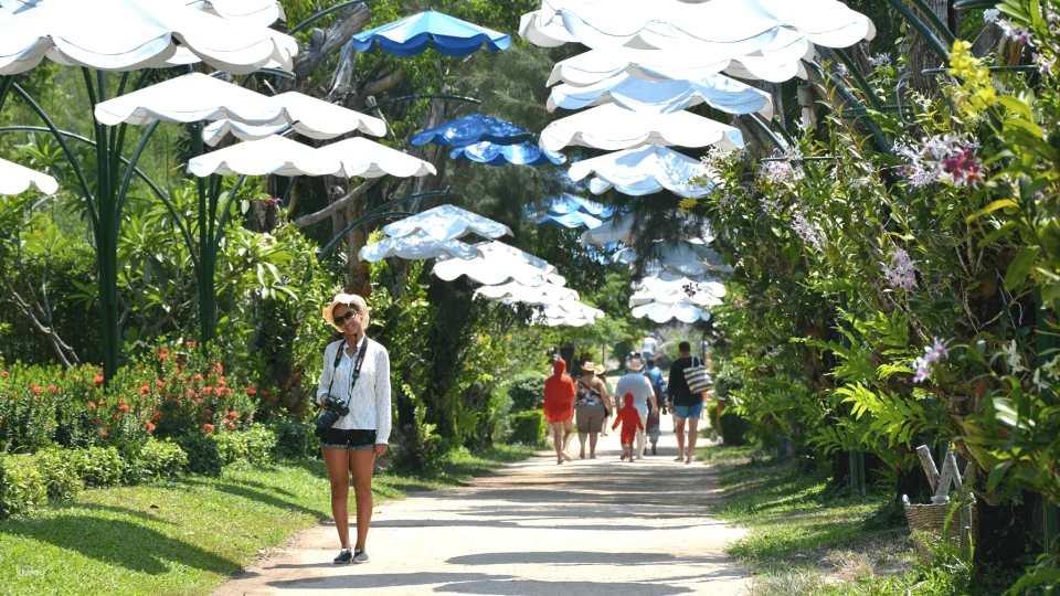 [KKday Offer 10% OFF] Orchid Island & Monkey Island Admission Ticket