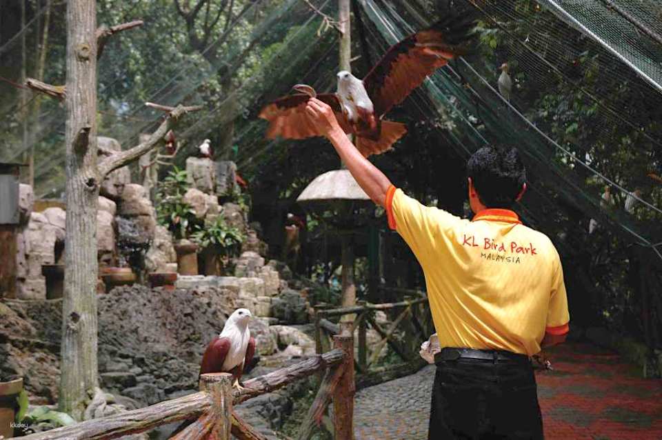 KL Bird Park Admission Ticket with One-Way Transfer in Kuala Lumpur | Malaysia