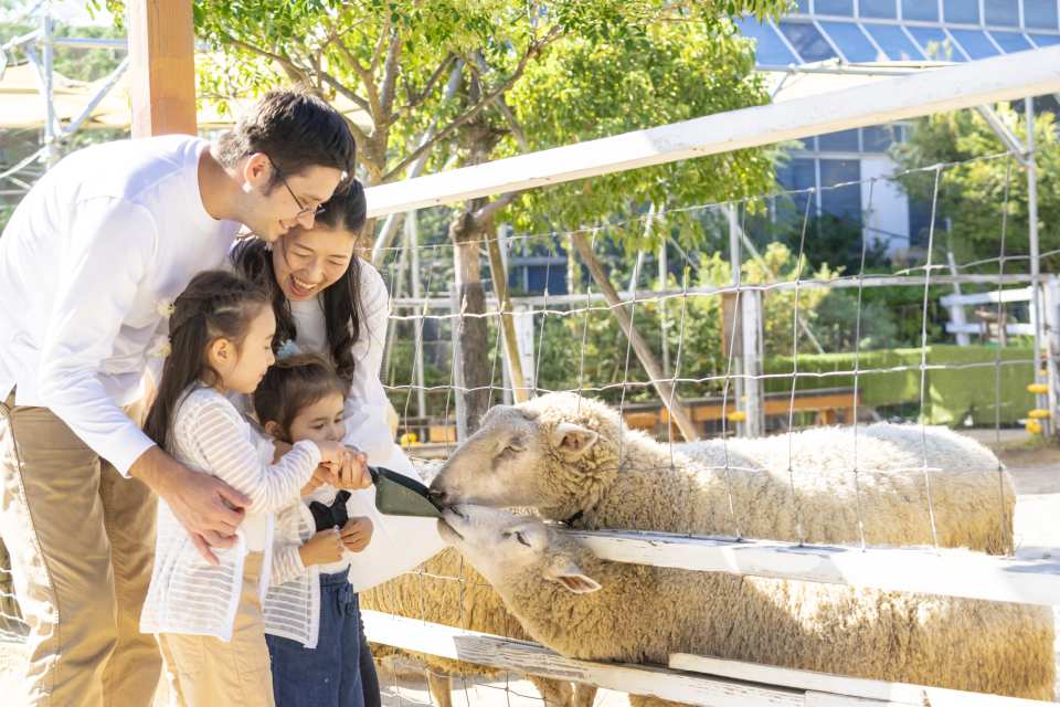 Kobe Animal Kingdom Admission Ticket | Japan