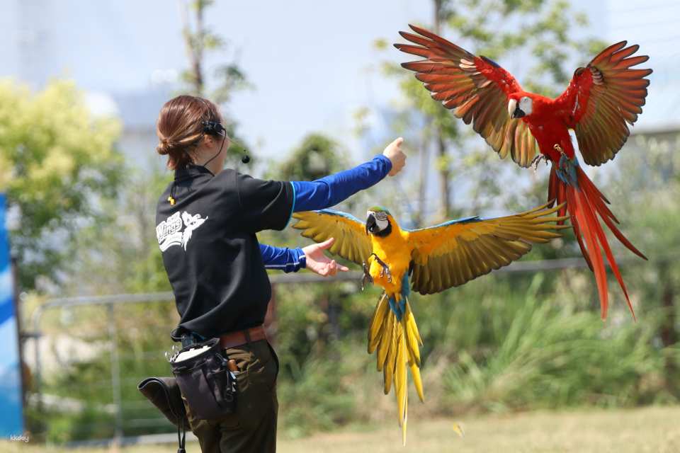 Kobe Animal Kingdom Admission Ticket | Japan