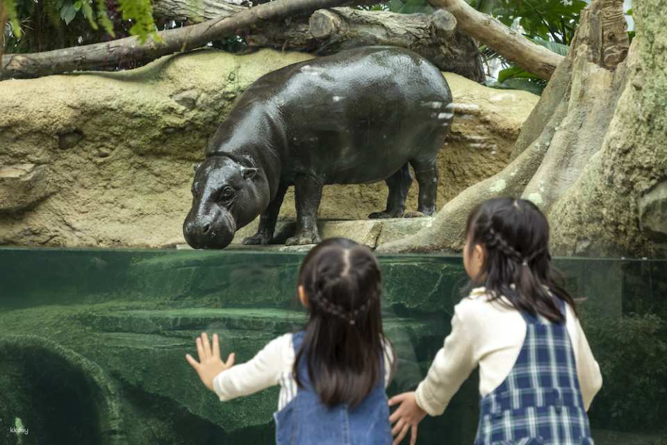 Kobe Animal Kingdom Admission Ticket | Japan