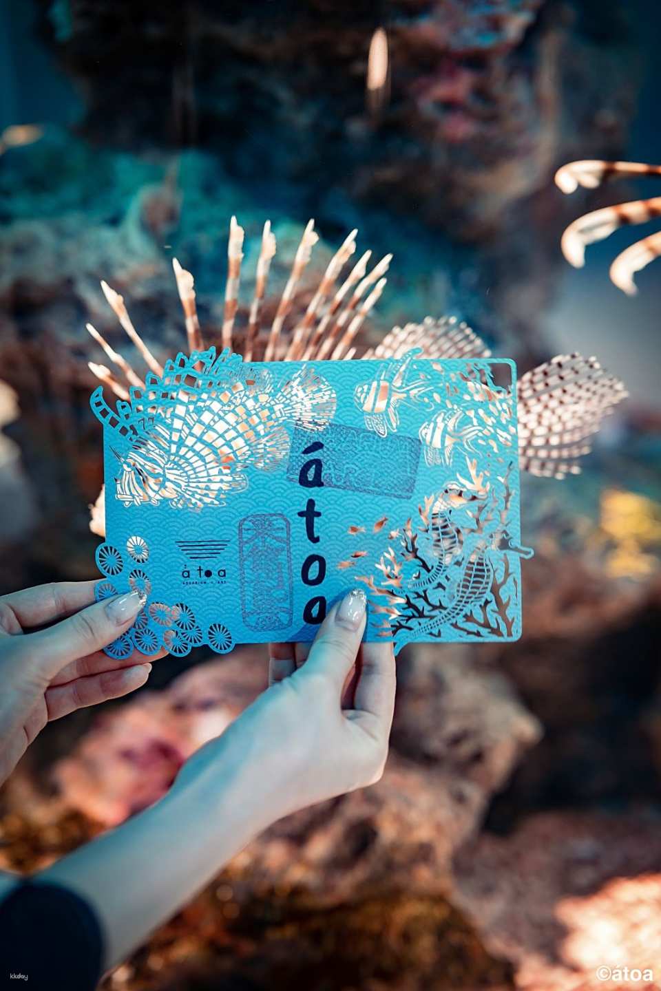 Kobe City Aquarium (AQUARIUM x ART átoa) Tickets