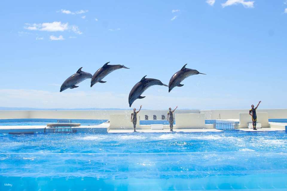 Kobe, Japan | Kobe Suma Marine World Tickets