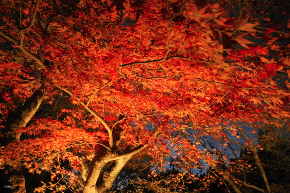 Kobe, Japan | Rokko Meets Art 2026 beyond | Rokko Mountain Art Walk Tickets