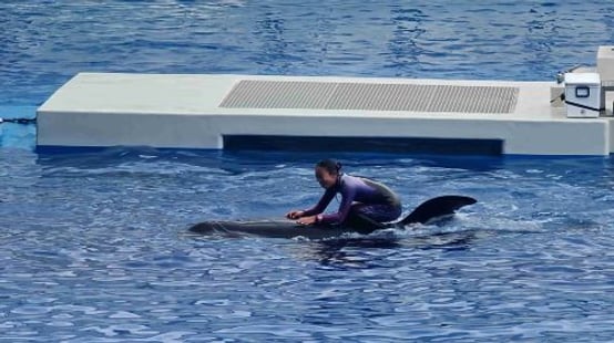 Kobe Suma Seaworld