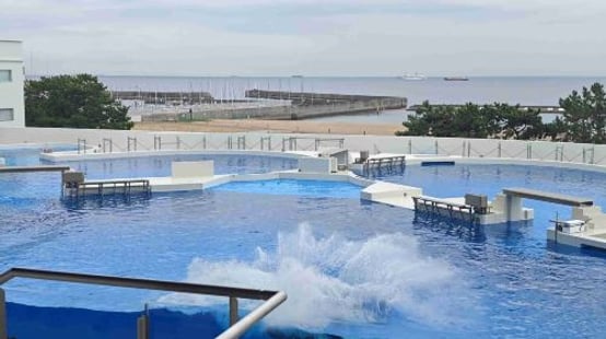 Kobe Suma Seaworld