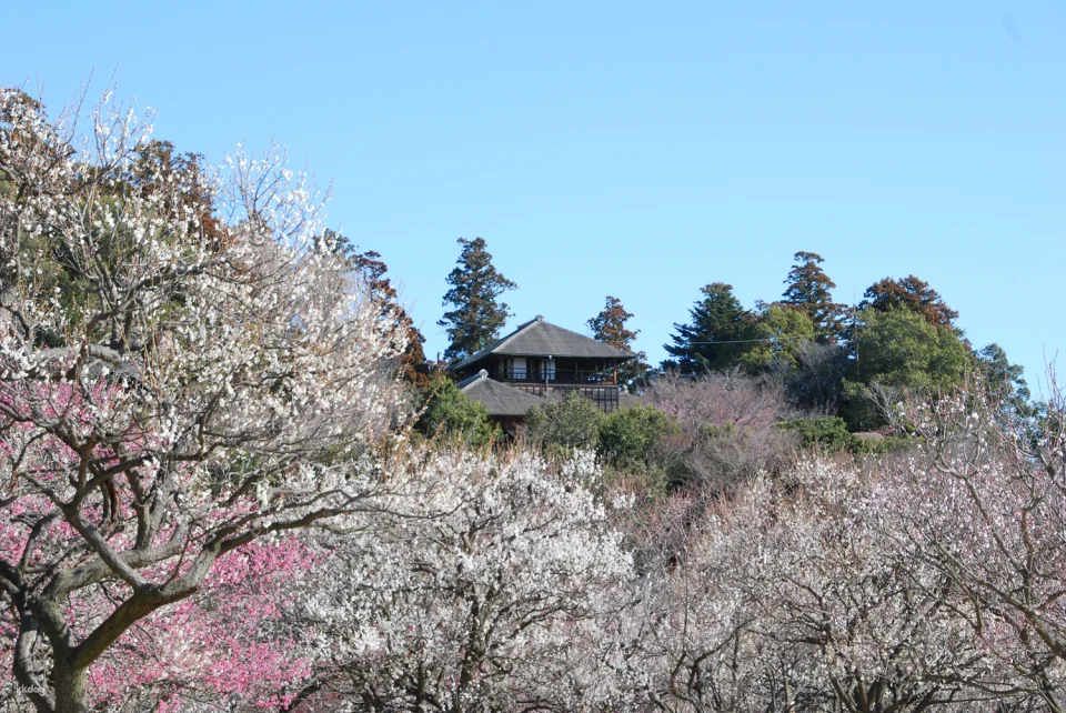 Kobun-tei viewing ticket (Mito City, Ibaraki Prefecture)