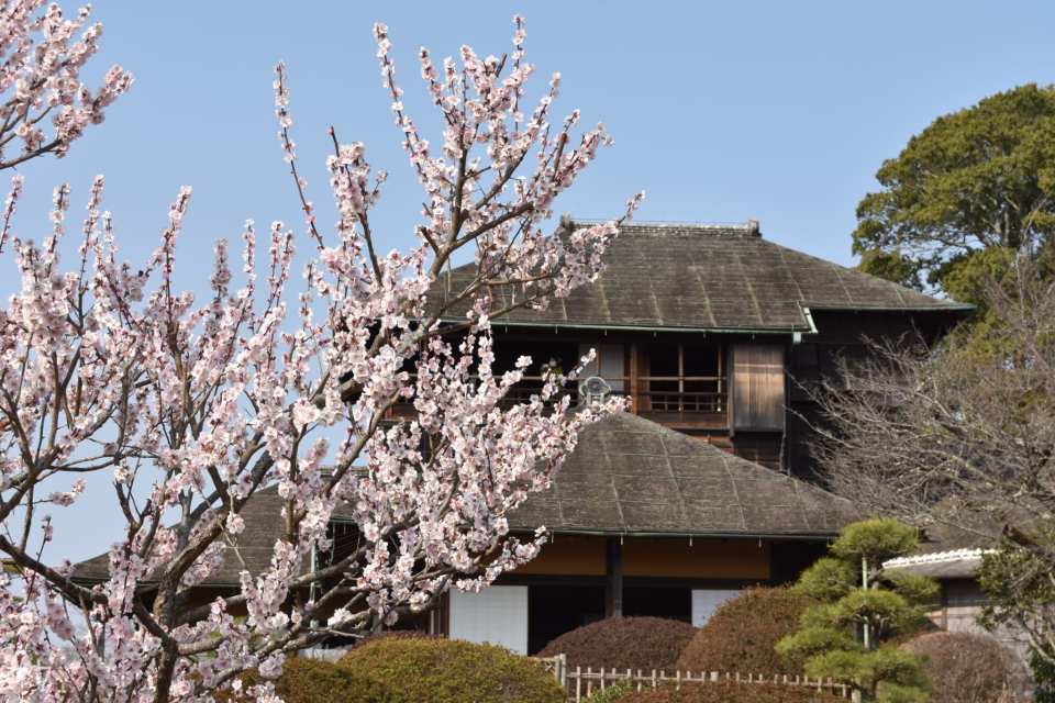 Kobun-tei viewing ticket (Mito City, Ibaraki Prefecture)