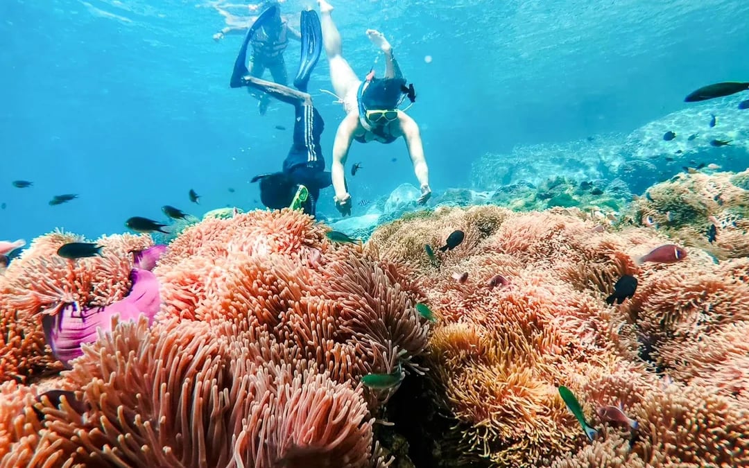Koh Chang 3 or 4-Island Big Boat Snorkeling Tour with Lunch Image 10