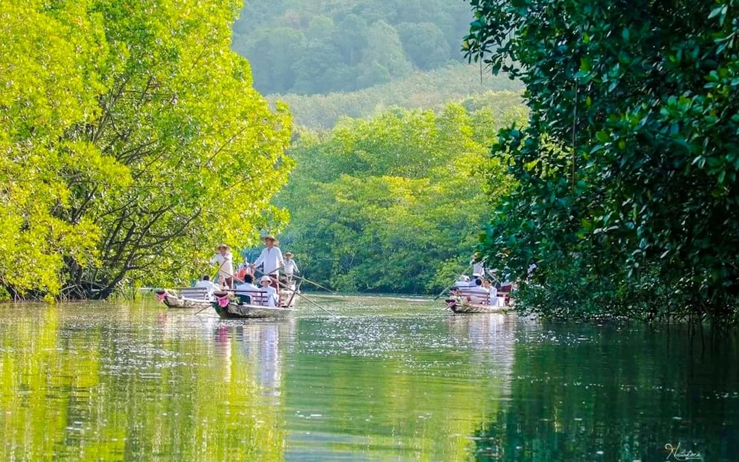 Koh Chang Private Salak Khok Mangrove Gondola Boat Tour Image 3