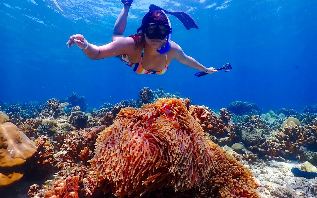 Koh Haa & Koh Rok Speedboat Snorkeling Tour with Lunch and Hotel Transfers Image 10